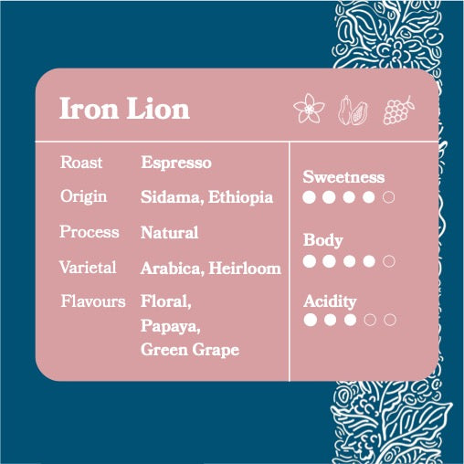 Iron Lion