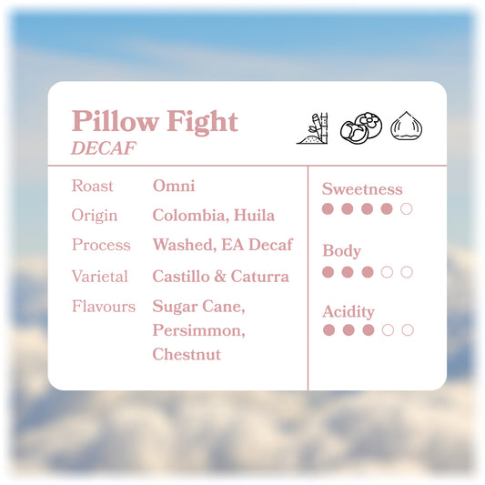 Pillow Fight