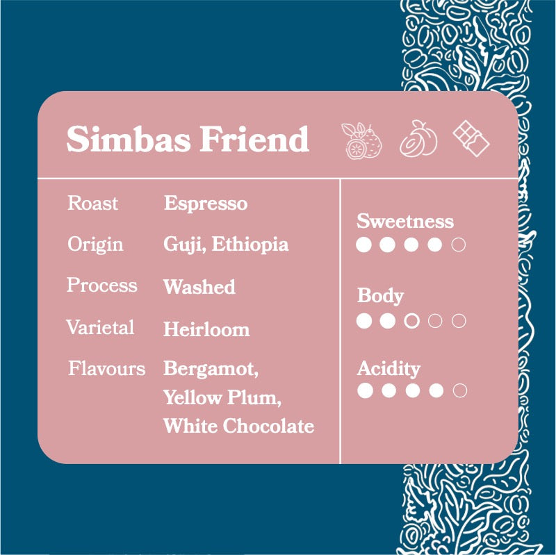 Simba's Friend