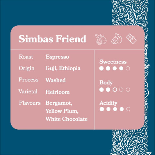 Simba's Friend