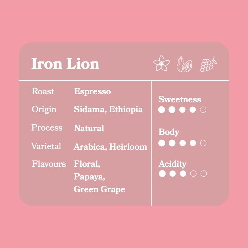 Iron Lion