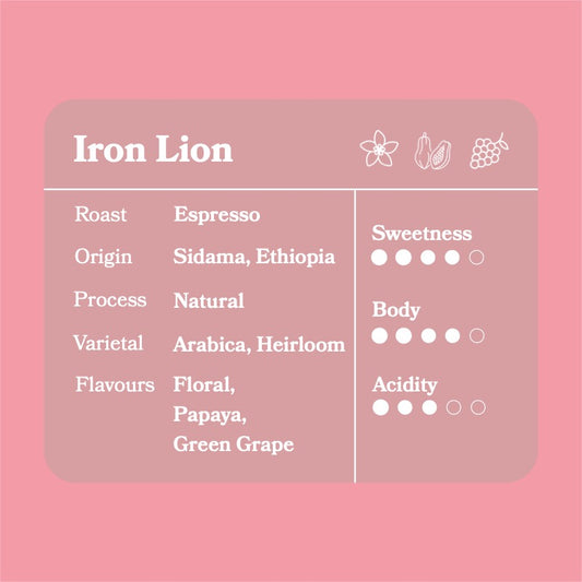 Iron Lion