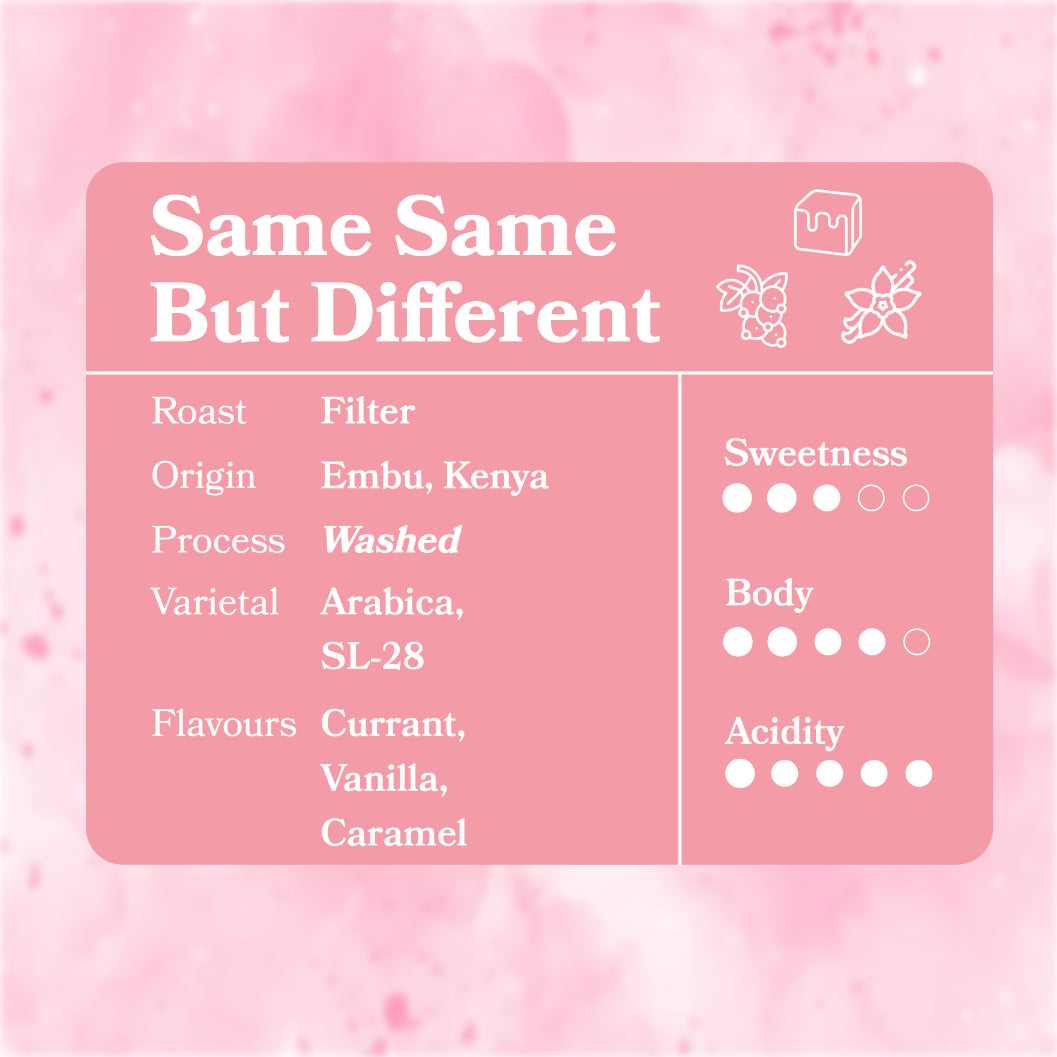 Same Same But Different