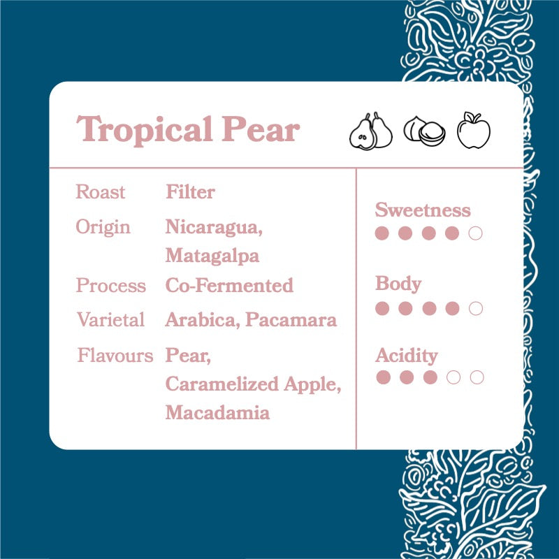 Tropical Pear